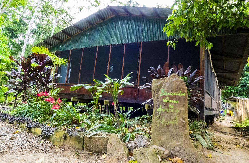 ホテル Amazon Planet Tambopata エクステリア 写真