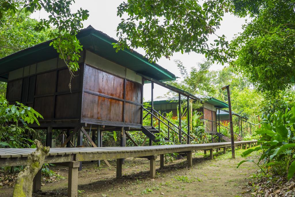 ホテル Amazon Planet Tambopata エクステリア 写真