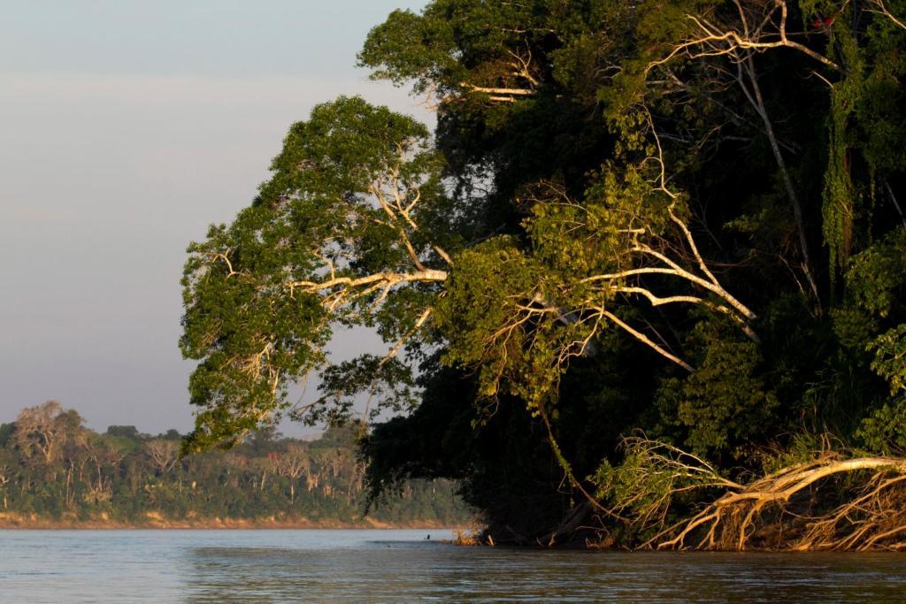 ホテル Amazon Planet Tambopata エクステリア 写真
