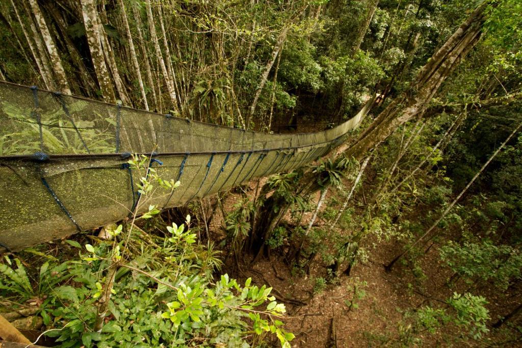 ホテル Amazon Planet Tambopata エクステリア 写真